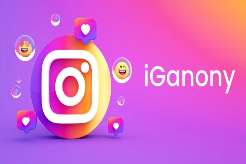 IGAnony: The Smart Way to View Instagram Privately